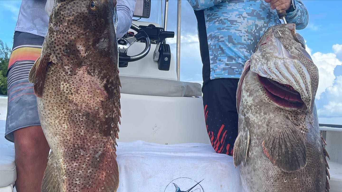 Mérous pêchés en baie d'Antongil